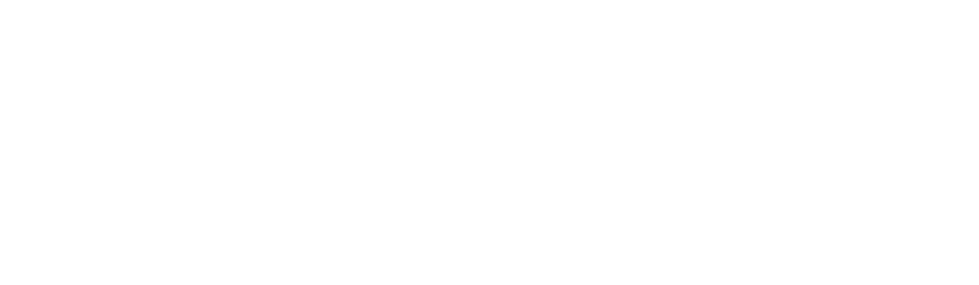 The CEO Magazine
